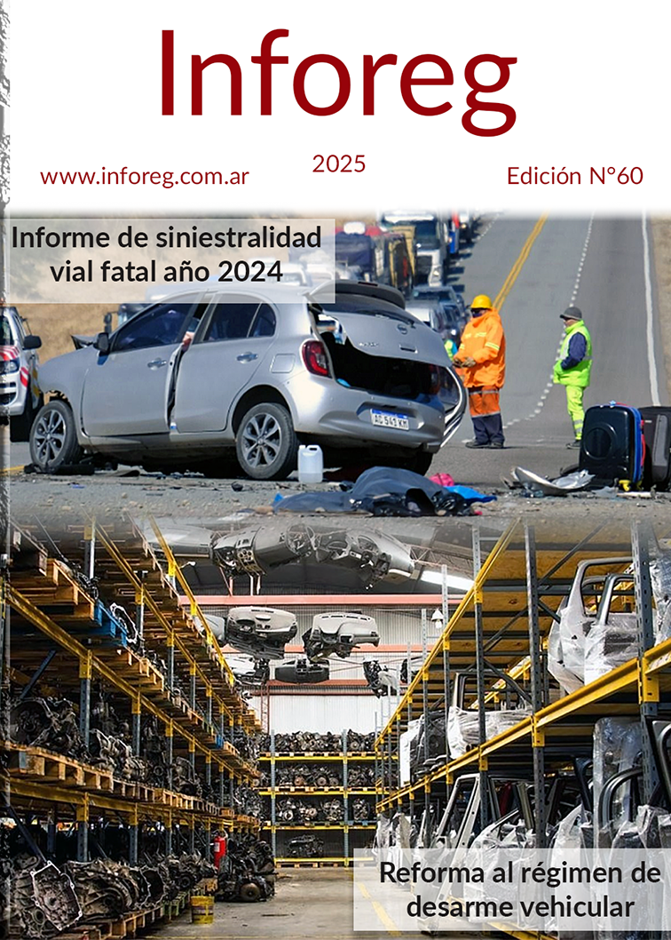 Revista Inforeg